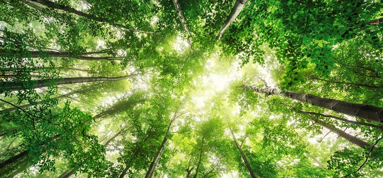 [Header] [About us] [SRI] Socially Responsible Investment