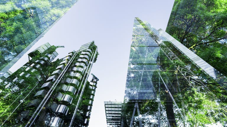 Sustainable Finance Disclosure Regulation (SFDR): en la práctica