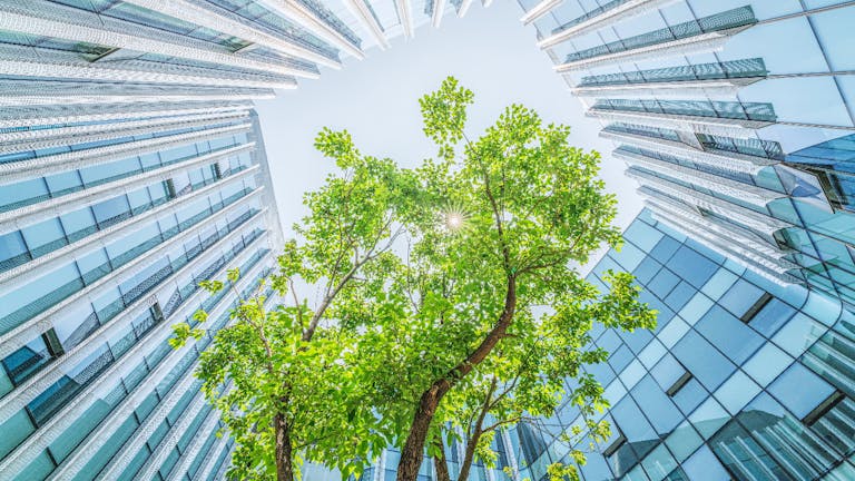 ESG: gestione del rischio o green bubble?