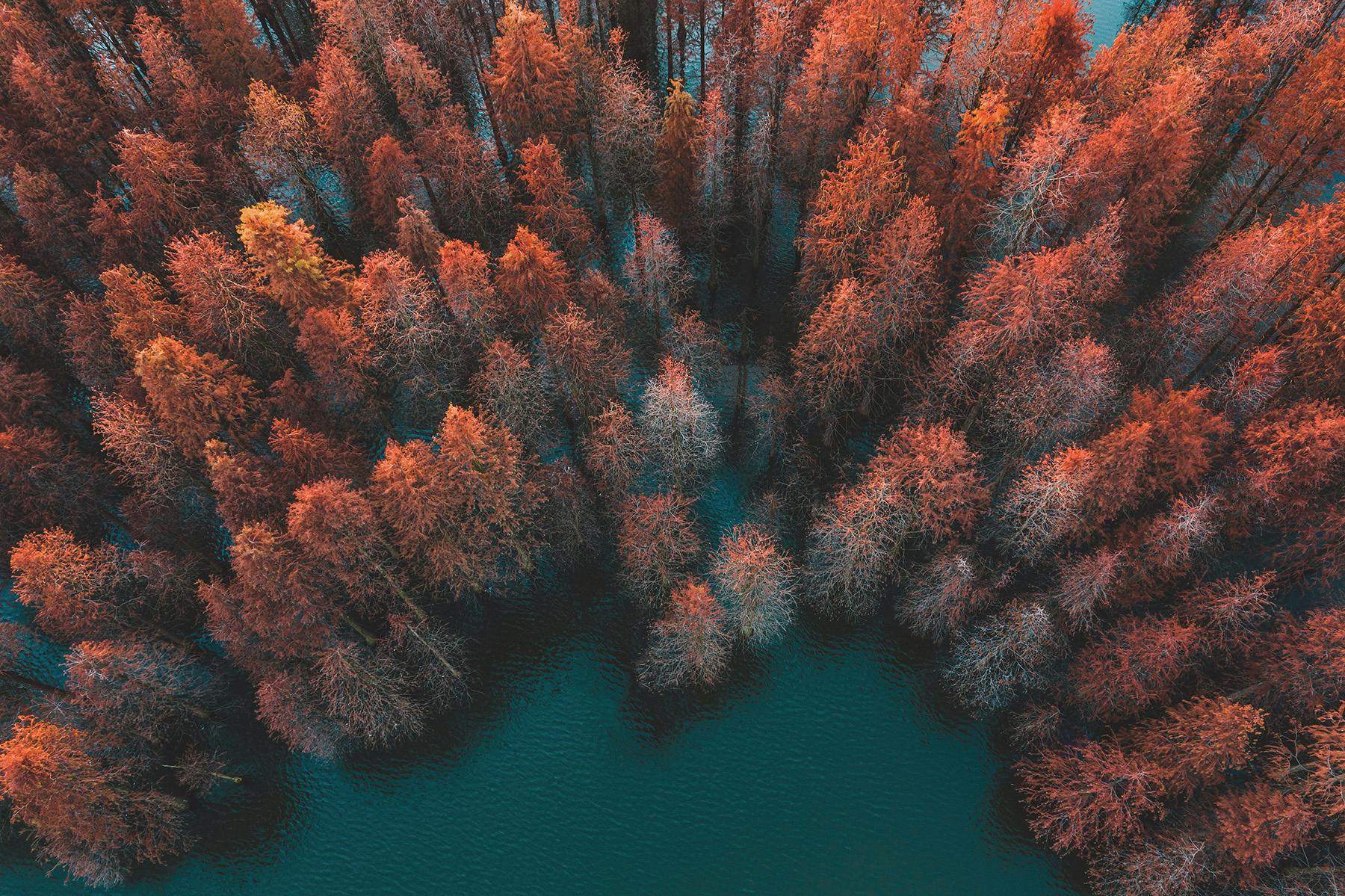 Carmignac Portfolio Grandchildren: Brief van de Fondsbeheerders - Q3 2025