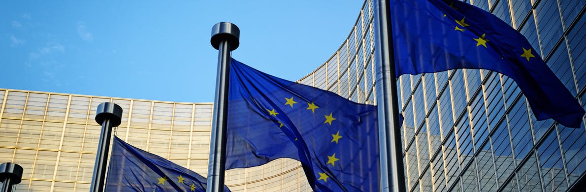 [Divider] [Management report] European flag