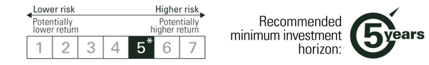 [Scale risk] 5/5 years_EN