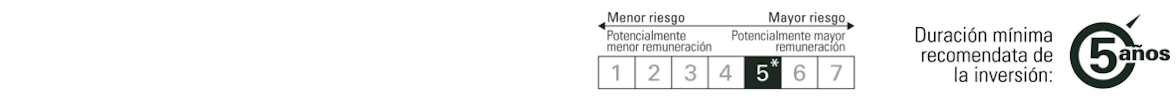 [CGE] Risk scale Investment Horizon ES