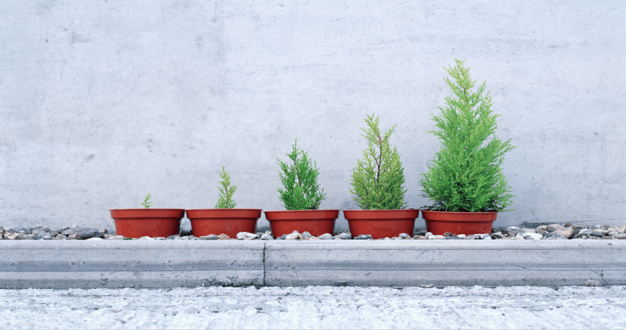 Global Equities: Back to Fundamentals