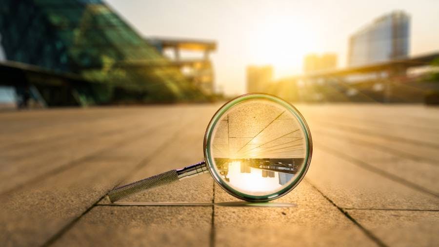 2021, a year of active stewardship illustrated